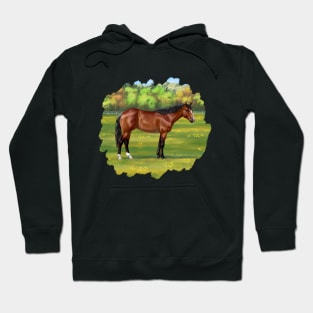 Brown Bay Quarter Horse in Pasture Hoodie